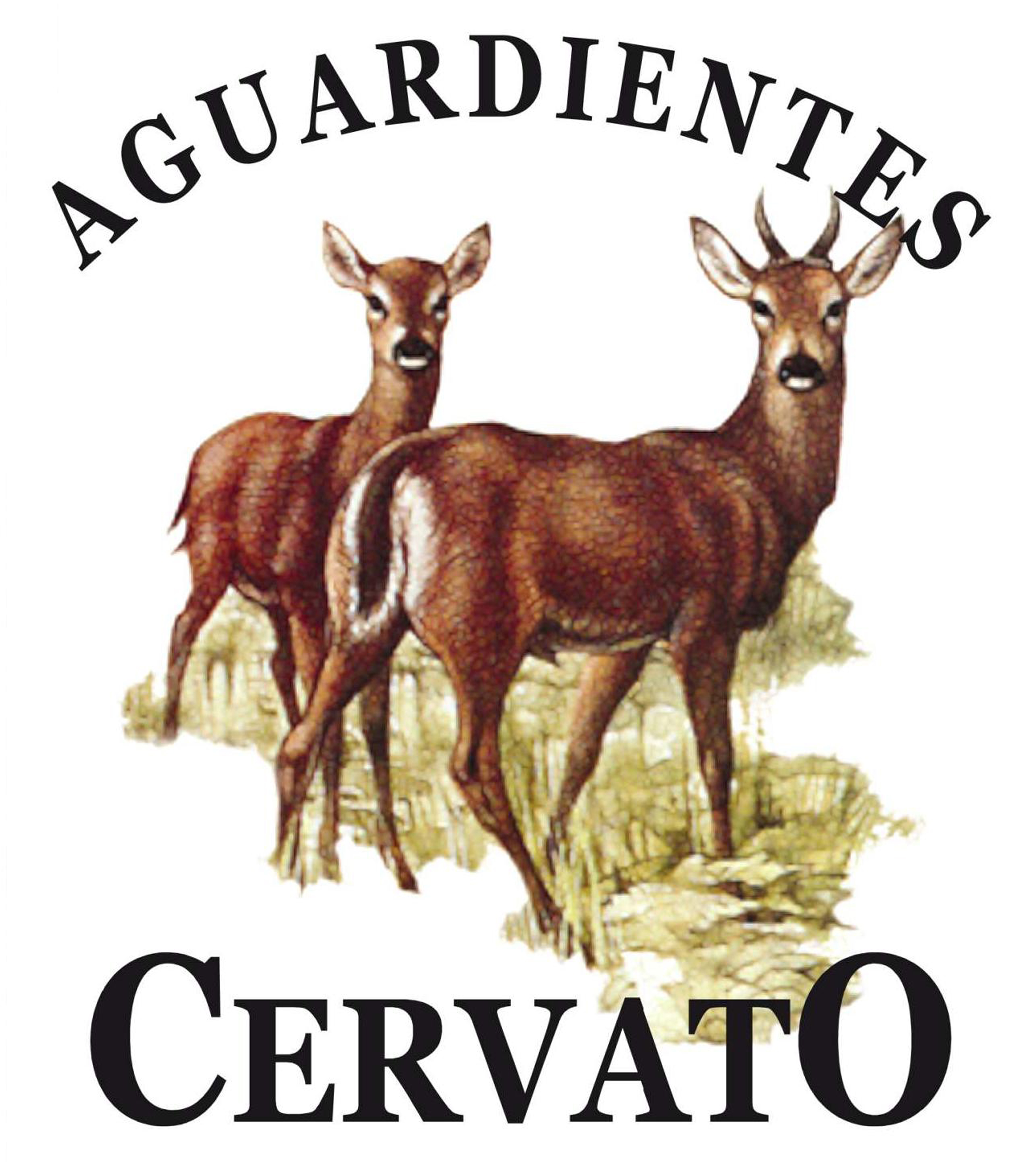 Logotipo Aguardientes CervatO